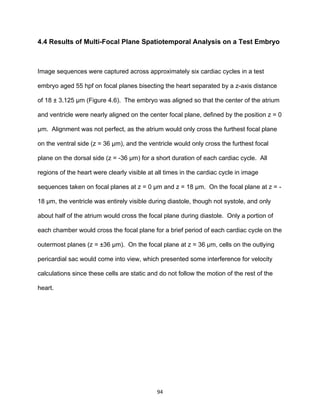 94
4.4 Results of Multi-Focal Plane Spatiotemporal Analysis on a Test Embryo
Image sequences were captured across approximately six cardiac cycles in a test
embryo aged 55 hpf on focal planes bisecting the heart separated by a z-axis distance
of 18 ± 3.125 µm (Figure 4.6). The embryo was aligned so that the center of the atrium
and ventricle were nearly aligned on the center focal plane, defined by the position z = 0
µm. Alignment was not perfect, as the atrium would only cross the furthest focal plane
on the ventral side (z = 36 µm), and the ventricle would only cross the furthest focal
plane on the dorsal side (z = -36 µm) for a short duration of each cardiac cycle. All
regions of the heart were clearly visible at all times in the cardiac cycle in image
sequences taken on focal planes at z = 0 µm and z = 18 µm. On the focal plane at z = -
18 µm, the ventricle was entirely visible during diastole, though not systole, and only
about half of the atrium would cross the focal plane during diastole. Only a portion of
each chamber would cross the focal plane for a brief period of each cardiac cycle on the
outermost planes (z = ±36 µm). On the focal plane at z = 36 µm, cells on the outlying
pericardial sac would come into view, which presented some interference for velocity
calculations since these cells are static and do not follow the motion of the rest of the
heart.
 