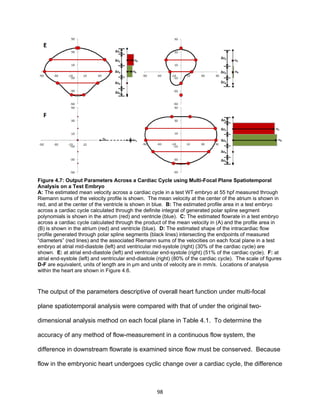 98
Figure 4.7: Output Parameters Across a Cardiac Cycle using Multi-Focal Plane Spatiotemporal
Analysis on a Test Embryo
A: The estimated mean velocity across a cardiac cycle in a test WT embryo at 55 hpf measured through
Riemann sums of the velocity profile is shown. The mean velocity at the center of the atrium is shown in
red, and at the center of the ventricle is shown in blue. B: The estimated profile area in a test embryo
across a cardiac cycle calculated through the definite integral of generated polar spline segment
polynomials is shown in the atrium (red) and ventricle (blue). C: The estimated flowrate in a test embryo
across a cardiac cycle calculated through the product of the mean velocity in (A) and the profile area in
(B) is shown in the atrium (red) and ventricle (blue). D: The estimated shape of the intracardiac flow
profile generated through polar spline segments (black lines) intersecting the endpoints of measured
“diameters” (red lines) and the associated Riemann sums of the velocities on each focal plane in a test
embryo at atrial mid-diastole (left) and ventricular mid-systole (right) (30% of the cardiac cycle) are
shown. E: at atrial end-diastole (left) and ventricular end-systole (right) (51% of the cardiac cycle). F: at
atrial end-systole (left) and ventricular end-diastole (right) (80% of the cardiac cycle). The scale of figures
D-F are equivalent, units of length are in µm and units of velocity are in mm/s. Locations of analysis
within the heart are shown in Figure 4.6.
The output of the parameters descriptive of overall heart function under multi-focal
plane spatiotemporal analysis were compared with that of under the original two-
dimensional analysis method on each focal plane in Table 4.1. To determine the
accuracy of any method of flow-measurement in a continuous flow system, the
difference in downstream flowrate is examined since flow must be conserved. Because
flow in the embryonic heart undergoes cyclic change over a cardiac cycle, the difference
 