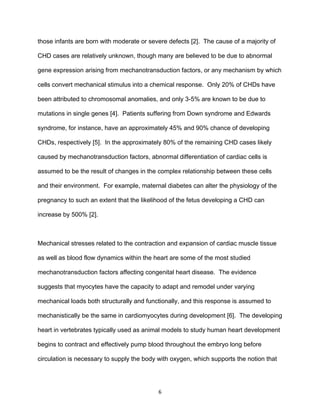 6
those infants are born with moderate or severe defects [2]. The cause of a majority of
CHD cases are relatively unknown, though many are believed to be due to abnormal
gene expression arising from mechanotransduction factors, or any mechanism by which
cells convert mechanical stimulus into a chemical response. Only 20% of CHDs have
been attributed to chromosomal anomalies, and only 3-5% are known to be due to
mutations in single genes [4]. Patients suffering from Down syndrome and Edwards
syndrome, for instance, have an approximately 45% and 90% chance of developing
CHDs, respectively [5]. In the approximately 80% of the remaining CHD cases likely
caused by mechanotransduction factors, abnormal differentiation of cardiac cells is
assumed to be the result of changes in the complex relationship between these cells
and their environment. For example, maternal diabetes can alter the physiology of the
pregnancy to such an extent that the likelihood of the fetus developing a CHD can
increase by 500% [2].
Mechanical stresses related to the contraction and expansion of cardiac muscle tissue
as well as blood flow dynamics within the heart are some of the most studied
mechanotransduction factors affecting congenital heart disease. The evidence
suggests that myocytes have the capacity to adapt and remodel under varying
mechanical loads both structurally and functionally, and this response is assumed to
mechanistically be the same in cardiomyocytes during development [6]. The developing
heart in vertebrates typically used as animal models to study human heart development
begins to contract and effectively pump blood throughout the embryo long before
circulation is necessary to supply the body with oxygen, which supports the notion that
 