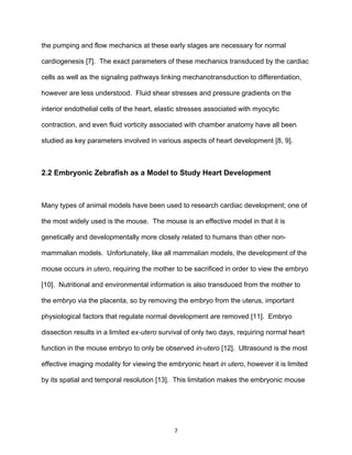 7
the pumping and flow mechanics at these early stages are necessary for normal
cardiogenesis [7]. The exact parameters of these mechanics transduced by the cardiac
cells as well as the signaling pathways linking mechanotransduction to differentiation,
however are less understood. Fluid shear stresses and pressure gradients on the
interior endothelial cells of the heart, elastic stresses associated with myocytic
contraction, and even fluid vorticity associated with chamber anatomy have all been
studied as key parameters involved in various aspects of heart development [8, 9].
2.2 Embryonic Zebrafish as a Model to Study Heart Development
Many types of animal models have been used to research cardiac development; one of
the most widely used is the mouse. The mouse is an effective model in that it is
genetically and developmentally more closely related to humans than other non-
mammalian models. Unfortunately, like all mammalian models, the development of the
mouse occurs in utero, requiring the mother to be sacrificed in order to view the embryo
[10]. Nutritional and environmental information is also transduced from the mother to
the embryo via the placenta, so by removing the embryo from the uterus, important
physiological factors that regulate normal development are removed [11]. Embryo
dissection results in a limited ex-utero survival of only two days, requiring normal heart
function in the mouse embryo to only be observed in-utero [12]. Ultrasound is the most
effective imaging modality for viewing the embryonic heart in utero, however it is limited
by its spatial and temporal resolution [13]. This limitation makes the embryonic mouse
 