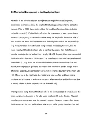 14
2.3 Mechanical Environment in the Developing Heart
As stated in the previous section, during the tube-stage of heart development,
coordinated contractions along the length of the tube appear to pump in a peristaltic
manner. Prior to 2006, it was believed that the heart tube functioned as a technical
peristaltic pump [42]. Peristalsis is defined as the progression of area contraction or
expansion propagating in a wave-like motion along the length of a distensible tube of
fluid in which the mean velocity of the fluid is relatively the same as the wave velocity
[44]. Forouhar et al. showed in 2006 using confocal microscopy however, that the
mean velocity of blood in the heart tube is significantly greater than that of the wave
velocity, rendering the peristalsis theory invalid [42, 45]. Instead, it has been suggested
that the tube functions as a “Liebau pump,” or impedance pump based on two observed
phenomena [42, 45]: First, the maximum acceleration of blood within the tube and
maximum local pressure gradients associated with contraction exhibit a large phase
difference; Secondly, the contraction waves reflect off of the boundary of the heart tube
[45]. Moreover, in the heart tube, the relationship between flow and heart rate is
nonlinear, as is the case in an impedance pump, whereas with a peristalsis pump, flow
is linearly related to wave frequency, or the heart rate [46].
The impedance pump theory of the heart tube is not widely accepted, however, and the
exact pumping mechanisms of the tube-stage heart are still under debate. A typical
impedance pump operates near its resonant frequency, however research has shown
that the resonant frequency of the heart tube should be far greater than the observed
 