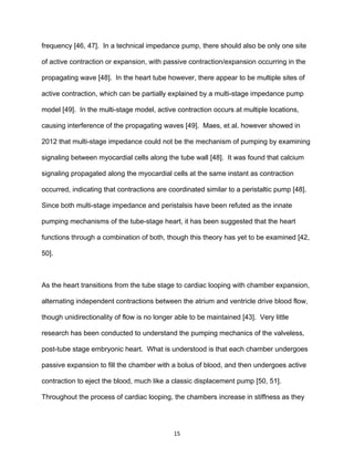 15
frequency [46, 47]. In a technical impedance pump, there should also be only one site
of active contraction or expansion, with passive contraction/expansion occurring in the
propagating wave [48]. In the heart tube however, there appear to be multiple sites of
active contraction, which can be partially explained by a multi-stage impedance pump
model [49]. In the multi-stage model, active contraction occurs at multiple locations,
causing interference of the propagating waves [49]. Maes, et al. however showed in
2012 that multi-stage impedance could not be the mechanism of pumping by examining
signaling between myocardial cells along the tube wall [48]. It was found that calcium
signaling propagated along the myocardial cells at the same instant as contraction
occurred, indicating that contractions are coordinated similar to a peristaltic pump [48].
Since both multi-stage impedance and peristalsis have been refuted as the innate
pumping mechanisms of the tube-stage heart, it has been suggested that the heart
functions through a combination of both, though this theory has yet to be examined [42,
50].
As the heart transitions from the tube stage to cardiac looping with chamber expansion,
alternating independent contractions between the atrium and ventricle drive blood flow,
though unidirectionality of flow is no longer able to be maintained [43]. Very little
research has been conducted to understand the pumping mechanics of the valveless,
post-tube stage embryonic heart. What is understood is that each chamber undergoes
passive expansion to fill the chamber with a bolus of blood, and then undergoes active
contraction to eject the blood, much like a classic displacement pump [50, 51].
Throughout the process of cardiac looping, the chambers increase in stiffness as they
 