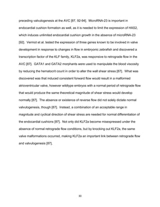30
preceding valvulogenesis at the AVC [87, 92-94]. MicroRNA-23 is important in
endocardial cushion formation as well, as it is needed to limit the expression of HAS2,
which induces unlimited endocardial cushion growth in the absence of microRNA-23
[92]. Vermot et al. tested the expression of three genes known to be involved in valve
development in response to changes in flow in embryonic zebrafish and discovered a
transcription factor of the KLF family, KLF2a, was responsive to retrograde flow in the
AVC [87]. GATA1 and GATA2 morphants were used to manipulate the blood viscosity
by reducing the hematocrit count in order to alter the wall shear stress [87]. What was
discovered was that induced consistent forward flow would result in a malformed
atrioventricular valve, however wildtype embryos with a normal period of retrograde flow
that would produce the same theoretical magnitude of shear stress would develop
normally [87]. The absence or existence of reverse flow did not solely dictate normal
valvulogenesis, though [87]. Instead, a combination of an acceptable range in
magnitude and cyclical direction of shear stress are needed for normal differentiation of
the endocardial cushions [87]. Not only did KLF2a become misexpressed under the
absence of normal retrograde flow conditions, but by knocking out KLF2a, the same
valve malformations occurred, making KLF2a an important link between retrograde flow
and valvulogenesis [87].
 