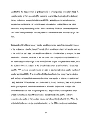 35
used to find the displacement of grid segments of similar particle orientation [103]. A
velocity vector is then generated for each grid segment by dividing the time between
frames by the grid segment displacement [103]. Velocities in between these grid
segments are able to be calculated through interpolation, making PIV an excellent
method for analyzing velocity profile. Methods utilizing PIV have been developed to
calculate further parameters such as pressure, wall shear stress, and vorticity [9, 104,
105].
Because bright-field microscopy can be used to generate such high-resolution images
of the embryonic zebrafish heart (Figure 2.10), it would seem that the intensity contrast
of the individual red blood cells would make PIV an optimal method to analyze the flow
mechanics. However, the scale of the red blood cells compared to the overall size of
the heart is significantly large at the developmental stages analyzed in this thesis, thus
the number of tracer particles in the overall fluid domain is relatively low. This is not
ideal for PIV, as more accurate results are able to be attained with a greater number of
smaller particles [106]. The size of the RBCs also affects how close they flow to the
wall, so flows adjacent to the endocardium that only consist of plasma go undetected
[106]. Because PIV measures velocity vectors by finding correlating pixel arrangements
within grid segments, deformation in the RBCs caused by pressure changes can
prevent the software from recognizing the RBC displacement, causing further error.
Endothelial cells are also of the same size as red blood cells, so PIV software
recognizes the walls of the heart as moving particles within the fluid [106]. When the
endothelial cells move in the opposite direction of the RBCs, vortices are calculated
 