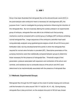 46
3. AIM 1
Since it has been illustrated that retrograde flow at the atrioventricular canal (AVC) in
the post-tube/pre-valve embryonic heart is necessary for valvulogenesis [87], the
purpose of aim 1 was to investigate the pumping mechanics influencing the induction of
this retrograde flow. By non-invasively altering the cardiac preload in an experimental
group of embryos, retrograde flow was able to be inhibited such that pumping
mechanics could be compared with a control group of wildtype (WT) embryos exhibiting
normal retrograde flow. Image sequences of the embryonic zebrafish heart were
computationally analyzed using spatiotemporal analysis at both 48 and 55 hours post-
fertilization (hpf), two key developmental time points in which the retrograde flow
required for normal valve formation is prevalent [87]. Descriptive parameters of the
pumping mechanics were then statistically compared between groups to determine
those necessary for the presence of retrograde flow. Threshold ranges of two
parameters: pressure associated with expansion and contraction of the atrium and
ventricle, and resistance due to contractile closure of the atrium and AVC were
determined to be mechanistically associated with the presence of retrograde flow.
3.1 Methods: Experimental Groups
Retrograde flow through the AVC begins at the onset of cardiac looping and continues
until the formation of a valve around 105-111 hpf [34, 40, 41, 43]. During looping,
retrograde flow is less prominent, so the analysis time point of 48 hpf was chosen
 