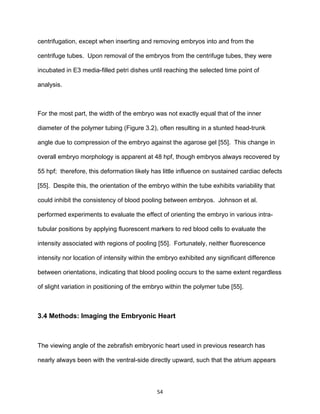 54
centrifugation, except when inserting and removing embryos into and from the
centrifuge tubes. Upon removal of the embryos from the centrifuge tubes, they were
incubated in E3 media-filled petri dishes until reaching the selected time point of
analysis.
For the most part, the width of the embryo was not exactly equal that of the inner
diameter of the polymer tubing (Figure 3.2), often resulting in a stunted head-trunk
angle due to compression of the embryo against the agarose gel [55]. This change in
overall embryo morphology is apparent at 48 hpf, though embryos always recovered by
55 hpf; therefore, this deformation likely has little influence on sustained cardiac defects
[55]. Despite this, the orientation of the embryo within the tube exhibits variability that
could inhibit the consistency of blood pooling between embryos. Johnson et al.
performed experiments to evaluate the effect of orienting the embryo in various intra-
tubular positions by applying fluorescent markers to red blood cells to evaluate the
intensity associated with regions of pooling [55]. Fortunately, neither fluorescence
intensity nor location of intensity within the embryo exhibited any significant difference
between orientations, indicating that blood pooling occurs to the same extent regardless
of slight variation in positioning of the embryo within the polymer tube [55].
3.4 Methods: Imaging the Embryonic Heart
The viewing angle of the zebrafish embryonic heart used in previous research has
nearly always been with the ventral-side directly upward, such that the atrium appears
 