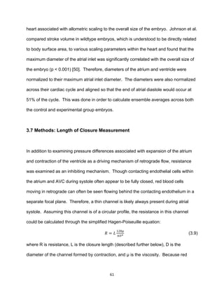 61
heart associated with allometric scaling to the overall size of the embryo. Johnson et al.
compared stroke volume in wildtype embryos, which is understood to be directly related
to body surface area, to various scaling parameters within the heart and found that the
maximum diameter of the atrial inlet was significantly correlated with the overall size of
the embryo (p < 0.001) [50]. Therefore, diameters of the atrium and ventricle were
normalized to their maximum atrial inlet diameter. The diameters were also normalized
across their cardiac cycle and aligned so that the end of atrial diastole would occur at
51% of the cycle. This was done in order to calculate ensemble averages across both
the control and experimental group embryos.
3.7 Methods: Length of Closure Measurement
In addition to examining pressure differences associated with expansion of the atrium
and contraction of the ventricle as a driving mechanism of retrograde flow, resistance
was examined as an inhibiting mechanism. Though contacting endothelial cells within
the atrium and AVC during systole often appear to be fully closed, red blood cells
moving in retrograde can often be seen flowing behind the contacting endothelium in a
separate focal plane. Therefore, a thin channel is likely always present during atrial
systole. Assuming this channel is of a circular profile, the resistance in this channel
could be calculated through the simplified Hagen-Poiseuille equation:
𝑅 = 𝐿
128𝜇
𝜋𝐷4 (3.9)
where R is resistance, L is the closure length (described further below), D is the
diameter of the channel formed by contraction, and μ is the viscosity. Because red
 