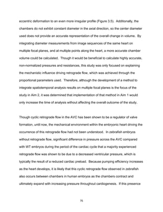 76
eccentric deformation to an even more irregular profile (Figure 3.5). Additionally, the
chambers do not exhibit constant diameter in the axial direction, so the center diameter
used does not provide an accurate representation of the overall change in volume. By
integrating diameter measurements from image sequences of the same heart on
multiple focal planes, and at multiple points along the heart, a more accurate chamber
volume could be calculated. Though it would be beneficial to calculate highly accurate,
non-normalized pressures and resistances, this study was only focused on explaining
the mechanistic influence driving retrograde flow, which was achieved through the
proportional parameters used. Therefore, although the development of a method to
integrate spatiotemporal analysis results on multiple focal planes is the focus of the
study in Aim 2, it was determined that implementation of that method in Aim 1 would
only increase the time of analysis without affecting the overall outcome of the study.
Though cyclic retrograde flow in the AVC has been shown to be a regulator of valve
formation, until now, the mechanical environment within the embryonic heart driving the
occurrence of this retrograde flow had not been understood. In zebrafish embryos
without retrograde flow, significant difference in pressure across the AVC compared
with WT embryos during the period of the cardiac cycle that a majority experienced
retrograde flow was shown to be due to a decreased ventricular pressure, which is
typically the result of a reduced cardiac preload. Because pumping efficiency increases
as the heart develops, it is likely that this cyclic retrograde flow observed in zebrafish
also occurs between chambers in human embryos as the chambers contract and
ultimately expand with increasing pressure throughout cardiogenesis. If this presence
 