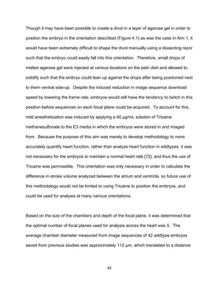 82
Though it may have been possible to create a divot in a layer of agarose gel in order to
position the embryo in the orientation described (Figure 4.1) as was the case in Aim 1, it
would have been extremely difficult to shape the divot manually using a dissecting razor
such that the embryo could easily fall into this orientation. Therefore, small drops of
melted agarose gel were injected at various locations on the petri dish and allowed to
solidify such that the embryo could lean up against the drops after being positioned next
to them ventral side-up. Despite the induced reduction in image sequence download
speed by lowering the frame rate, embryos would still have the tendency to twitch in this
position before sequences on each focal plane could be acquired. To account for this,
mild anesthetization was induced by applying a 40 µg/mL solution of Tricaine
methanesulfonate to the E3 media in which the embryos were stored in and imaged
from. Because the purpose of this aim was merely to develop methodology to more
accurately quantify heart function, rather than analyze heart function in wildtypes, it was
not necessary for the embryos to maintain a normal heart rate [72], and thus the use of
Tricaine was permissible. This orientation was only necessary in order to calculate the
difference in stroke volume analyzed between the atrium and ventricle, so future use of
this methodology would not be limited to using Tricaine to position the embryos, and
could be used for analysis at many various orientations.
Based on the size of the chambers and depth of the focal plane, it was determined that
the optimal number of focal planes used for analysis across the heart was 5. The
average chamber diameter measured from image sequences of 42 wildtype embryos
saved from previous studies was approximately 112 µm, which translated to a distance
 