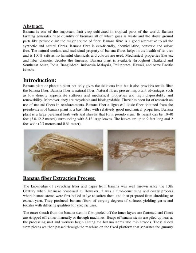 Banana fiber articles picture