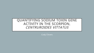 QUANTIFYING SODIUM TOXIN GENE
ACTIVITY IN THE SCORPION,
CENTRUROIDES VITTATUS
Cody Chivers
 