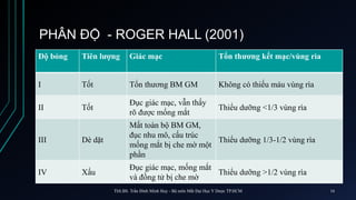 PHÂN ĐỘ - ROGER HALL (2001)
Độ bỏng Tiên lượng Giác mạc Tổn thương kết mạc/vùng rìa
I Tốt Tổn thương BM GM Không có thiếu máu vùng rìa
II Tốt
Đục giác mạc, vẫn thấy
rõ được mống mắt
Thiểu dưỡng <1/3 vùng rìa
III Dè dặt
Mất toàn bộ BM GM,
đục nhu mô, cấu trúc
mống mắt bị che mờ một
phần
Thiểu dưỡng 1/3-1/2 vùng rìa
IV Xấu
Đục giác mạc, mống mắt
và đồng tử bị che mờ
Thiểu dưỡng >1/2 vùng rìa
ThS.BS. Trần Đình Minh Huy - Bộ môn Mắt Đại Học Y Dược TP.HCM 16
 
