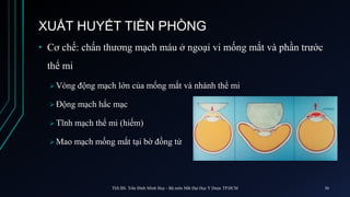 XUẤT HUYẾT TIỀN PHÒNG
• Cơ chế: chấn thương mạch máu ở ngoại vi mống mắt và phần trước
thể mi
 Vòng động mạch lớn của mống mắt và nhánh thể mi
 Động mạch hắc mạc
 Tĩnh mạch thể mi (hiếm)
 Mao mạch mống mắt tại bờ đồng tử
ThS.BS. Trần Đình Minh Huy - Bộ môn Mắt Đại Học Y Dược TP.HCM 36
 
