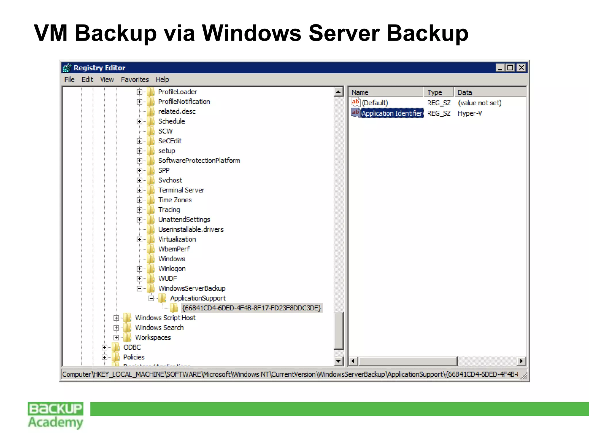 VM Backup via Windows Server Backup
 