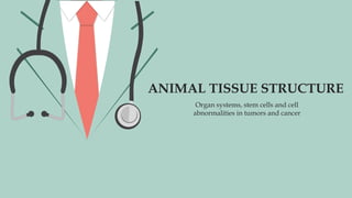 ANIMAL TISSUE STRUCTURE
Organ systems, stem cells and cell
abnormalities in tumors and cancer
 