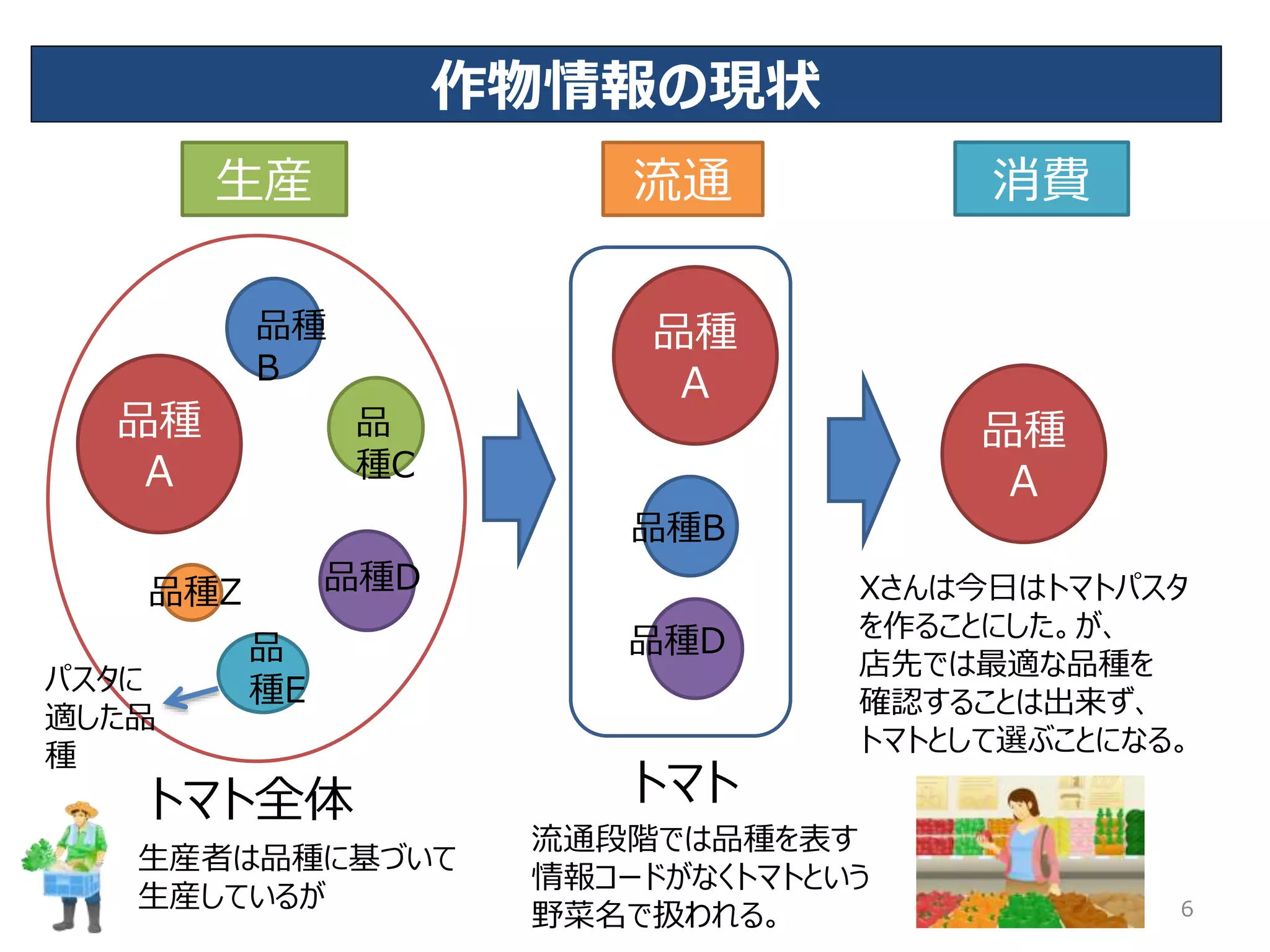 品種
A
品
種C
品
種E
消費
Xさんは今日はトマトパスタ
を作ることにした。が、
店先では最適な品種を
確認することは出来ず、
トマトとして選ぶことになる。
生産
品種D
品種
B
品種D
品種Z
作物情報の現状
流通
品種
A
トマト全体
生産者は品種に基づいて
生産しているが
品種
A
品種B
流通段階では品種を表す
情報コードがなくトマトという
野菜名で扱われる。
トマト
パスタに
適した品
種
6
 