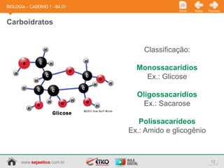 BIOLOGIA » CADERNO 1 »BA 01
                                             Início   Voltar   Próximo



Carboidratos


                                  Classificação:

                                Monossacarídios
                                  Ex.: Glicose

                                Oligossacarídios
                                  Ex.: Sacarose

                                 Polissacarídeos
                              Ex.: Amido e glicogênio



      www.sejaetico.com.br                                      12
 