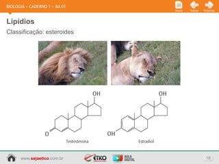 BIOLOGIA » CADERNO 1 » BA 01
                               Início   Voltar   Próximo



Lipídios
Classificação: esteroides




      www.sejaetico.com.br                        18
 
