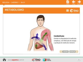 BIOLOGIA » CADERNO 1 » BA 01
                               Início   Voltar   Próximo




      www.sejaetico.com.br                         4
 