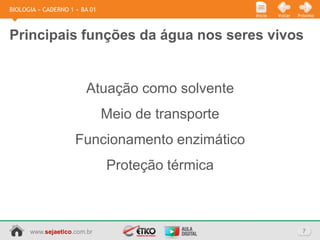 BIOLOGIA » CADERNO 1 » BA 01
                                                    Início   Voltar   Próximo




Principais funções da água nos seres vivos


                        Atuação como solvente
                               Meio de transporte
                     Funcionamento enzimático
                               Proteção térmica



      www.sejaetico.com.br                                              7
 