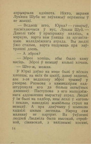 Вzaychyna u shynialu