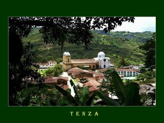T  E  N  Z  A 