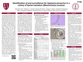 Identification of and surveillance for Syphacia pinworms in a
colony of Syrian hamsters (Mesocricetus auratus)
David K. Chu1*, Ramon A. Carreno2, Kristen M. Davis1, Sergio A. Koba1, Claude M. Nagamine1
Dept of Comparative Medicine, Stanford University1; Dept of Zoology, Ohio Wesleyan University2
Abstract Introduction Methods & Materials (continue) Results (continue) Discussion
An investigator studying the biology and
genetics of Sex-linked yellow (an X-linked gene
that determines coat color) acquired a stock of
hamsters from a private source. Pinworm ova
of an unidentified species were discovered
during health screening. These hamsters were
quarantined to guard our laboratory mice and
rats in case the helminthiasis was due to S.
obvelata or S. muris, which were reported to
infect Syrian hamsters. Primary goal of this
study was to identify pinworm species that was
infecting this hamster colony. Secondary goal
was to determine if this pinworm may infect the
mouse via dirty bedding transfer, a typical
means to survey for murine disease agents.
Answers to these questions may guide
laboratory managers and veterinarians on how
to assess the risks of infected hamsters to the
laboratory mouse. This study was Stanford
IACUC approved.
Host Specificity and Surveillance
➢ Transfer one teaspoon of dirty bedding with
feces from pinworm-infected hamsters to
three different sentinel cages weekly.
➢ Sentinel composition:
• Two Hsdhan:AURA female hamsters
• Three AG129 (129.Ifnar1tm1Agt,
Ifngr1tm1Agt) female mice
• Five AG B6 (C57BL/6J.129 Ifnar1tm1Agt,
Ifngr1tm1Agt) female mice
➢ Once per week for 5 weeks (beginning at 7
days post first dirty bedding transfer) we
conducted perineal cellophane tape tests
followed by perineal swabs from sentinels.
➢ Cellophane tapes were mounted on glass
microscope slides for microscopy.
➢ Swab samples obtained using Charles River
Labs (CRL) “pink sticky” swabs were sent
to CRL for PCR.
It may be necessary in a multi-species facility
to co-house different rodent species free from
adventitious infections. Goals of this study
were to identify pinworms found in a closed
golden hamster colony and to assess if a dirty
bedding surveillance program can detect
presence of this pinworm. For identification,
we retrieved worms from the cecum of
euthanized hamsters and fixed some either in
5% formalin for morphologic analysis or
90% ethanol for DNA sequencing. For
surveillance, we transferred one teaspoon of
dirty bedding with feces from pinworm-
infected hamsters to three sentinel cages
weekly. Sentinels were two female
Hsdhan:AURA hamsters and three female
129.Ifnar1tm1Agt, Ifngr1tm1Agt and five
C57BL/6.129 Ifnar1tm1Agt, Ifngr1tm1Agt mice,
immunodeficient strains with a double
knockout for Type I and II interferon
receptors. We conducted weekly perineal
cellophane tape tests plus we sent perineal
swab samples to a commercial lab for PCR.
Morphologically, the worms are consistent
with Syphacia mesocriceti. However, worm
dimensions are larger overall than in
previously published descriptions. 1000 bases
of the 28S rDNA locus were sequenced from
four worms and all four were identical. A
BLAST search revealed that the closest
match to the sequences is S. agraria at 86%
identity, followed by S. ohtaorum and S.
obvelata. No evidence of pinworms was
detected by tape tests or perineal swab PCR
at 1 and 2 weeks post bedding transfer. Ova
were observed on hamster cellophane tapes in
weeks 3, 4, and 5 while no ova were seen in
any of the mouse cellophane tapes. Hamster
swab PCR was positive for generic pinworm
in week 3 and mouse swab PCR was
equivocal in week 5. Our data suggest this
hamster colony is infected with S.
mesocriceti and that this pinworm is non-
transferable to the immunodeficient mouse
strains tested by dirty bedding.
*dchu98@stanford.edu
➢ GenBank BLAST search of 1000 bases of the
28S rDNA revealed that S. mesocricti 28S
rDNA sequences were not in GenBank.
 The closest match to the sequences is S.
agraria at 86% identity, followed by S.
ohtaorum and S. obvelata.
➢ Scan this poster’s QR code for BLAST results
and additional worm micrographs.
Figure 2. Male worm with characteristic spicule (arrow) which
facilitates sperm transfer. Syphacia demonstrates sexual
dimorphism in which male pinworms are much smaller than
females. This male measured 855 μm in length.
Figure 1. Anterior of a cleared, mature female worm. More
female worms were identified than males in our collection by a
15:2 ratio.
References
1. Dick TA, Quentin JC, Freeman RS. 1973.
Redescription Syphacia Mesocriceti (Nematoda:
Oxyuroidea) parasite of the golden hamster. J
Parasitol. 59(2):256-259.
2. Hasegawa H, Sato H, Iwakiri E, Ikeda Y, Une Y.
2008. Helminth collected from imported pet murids,
with special reference to concomitant infection of the
golden hamster with three pinworm species of the
genus Syphacia (Nematoda: Oxyuridae). J Parasitol.
94(3):752-754.
3. Okamoto M, Urushima H, Hasegawa H. 2009.
Phylogenetic relationships of rodent pinworms
(genus Syphacia) in Japan inferred from 28S rDNA
sequences. Parasitol Int. 58:330-333.
4. Pinto RM, Goncalves L, Gomes DC, Noronha D.
2001. Helminth fauna of golden hamster
Mesocricetus auratus in Brazil. Contemp Top Lab
Anim Sci. 40(2):21-26.
P196
Naturally Infected Host Animals
Closed colony of 5 to 8 month old mixed sex
Syrian hamsters (private source, Fresno, CA)
free from LCMV, PVM, Sendai virus,
Reovirus, SV5, E. cuniculi, C. piliforme,
external and other internal parasites housed in
hardwood bedded (Teklad), filter top cages
with feed (Teklad 2018) and RO filtered water.
Parasite Characterization
➢ Retrieve worms from intestinal trace of CO2
euthanized hamsters.
➢ Fix worms in 5% formalin for morphologic
analysis or 90% ethanol for DNA
sequencing.
➢ Worms were cleared with lactic acid and
viewed by light microscopy.
➢ Measure physical characteristics on 15
females and two males: Body length and
max width, cephalic vesicle length and
width, nerve ring width, excretory pore
width, vulva distance from anterior,
esophagus length, esophageal bulb length
and width, uterine corpus length and width,
tail length, ova length and width.
➢ Sequence 1000 bases of 28S rDNA locus.
➢ Survey GenBank for matching sequences
using BLAST.
Methods & Materials Results
Table 1. Female worm morphometric measurements with
reference values. All units are expressed as microns (μm).
Table 2. Perineal cellophane tape tests and fecal PCR results.
We consistently observed ova on hamster tapes since week 3.
Hamster feces was PCR positive on Pinworm Screen PCR
(but negative for Aspiculuris, S. obvelata, S. muris (CRL).
Pooled mouse feces yielded equivocal PCR results on week 5.
➢ This was a mono-infection by S. mesocriceti.
➢ Although S. mesocriceti was reported to
infect small intestine4, we found all of our
worms in the large intestine.
➢ Female morphology is slightly larger than
expected but overall is quite consistent with
what has been previously reported (Table 1).
➢ We encountered a BLAST search zero match
for S. mesocriceti because this pinworm
species is not in GenBank. An effort will be
made to deposit this species sequence into
GenBank.
➢ The 86% 28S rDNA S. agaraia match is
highly dissimilar for a relatively conserved
locus and that most of the 28S should be
identical or almost identical. Additionally,
S. agaraia is known to infect Large Japanese
field mouse3 and not likely to be pinworm
species in our colony of Syrian hamster.
However, polyinfection can occur2 and
should not be ruled out.
➢ Despite the fact that sentinel mice do not
express Type I and II interferon receptors
(increases their susceptibility to parasite
infection. Table 2 suggests that S.
mesocriceti is host specific or the risk of
fomite transmission to mice is low.
➢ Sentinel hamster tape tests and PCR don’t
correlate and may be explained by 1) Tapes
removed too much pinworm matter leaving
insufficient DNA for PCR 2) Positive tapes
in wks 4 and 5 were residuals from wk 3 or
3) Primers sensitivity was too low.
➢ Equivocal mouse fecal PCR result likely due
to contamination during sample acquisition.
Female
Characteristics Mean
Standard
Deviation
Reference
1
Reference
4
Body Length n=14 7261 742 5000 - 6900 3200 - 5200
Body Max Width
n=15 262 28 149 - 165 150 - 180
Cephalic Vesicle
Length n=14 173 30 - -
Cephalic Vesicle
Width n=14 143 16 - -
Nerve Ring (from
anterior) n=8 176 31 125 - 145 125 - 140
Excretory Pore (from
anterior) n=13 575 108 530 - 650 490 - 560
Vulva Distance from
Anterior n=11 926 170 810 - 890 700 - 830
Esophageal Length
n=15 414 30 - 280 - 385
Uterine Corpus
Length n=11 296 15 - -
Uterine Corpus
Width n=12 53 7 - -
Esophogeal Bulb
Length n=10 119 8 92 - 107 -
Esophogeal Bulb
Width n=15 98 9 77 - 88 -
Tail Length n=13 973 70 - -
Ova Length n= 40 128 4 115 - 118 130 - 140
Ova Width n= 40 33 3 31 - 46 40 - 50
 Worms were visualized in cecum; some in
colon; none in small intestine.
 