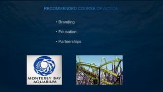 • Branding
• Education
• Partnerships
 