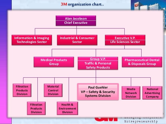 3m Organizational Chart