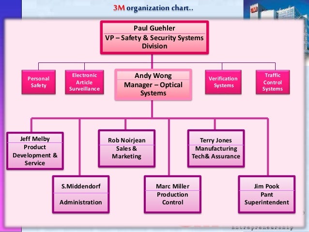 3m Organizational Chart
