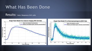 What Has Been Done
Results: Note: Response of M1 cells
afff
Electrophysiological data obtained from Jess and Abby Electrophysiological data obtained from
R.L. Brown
 