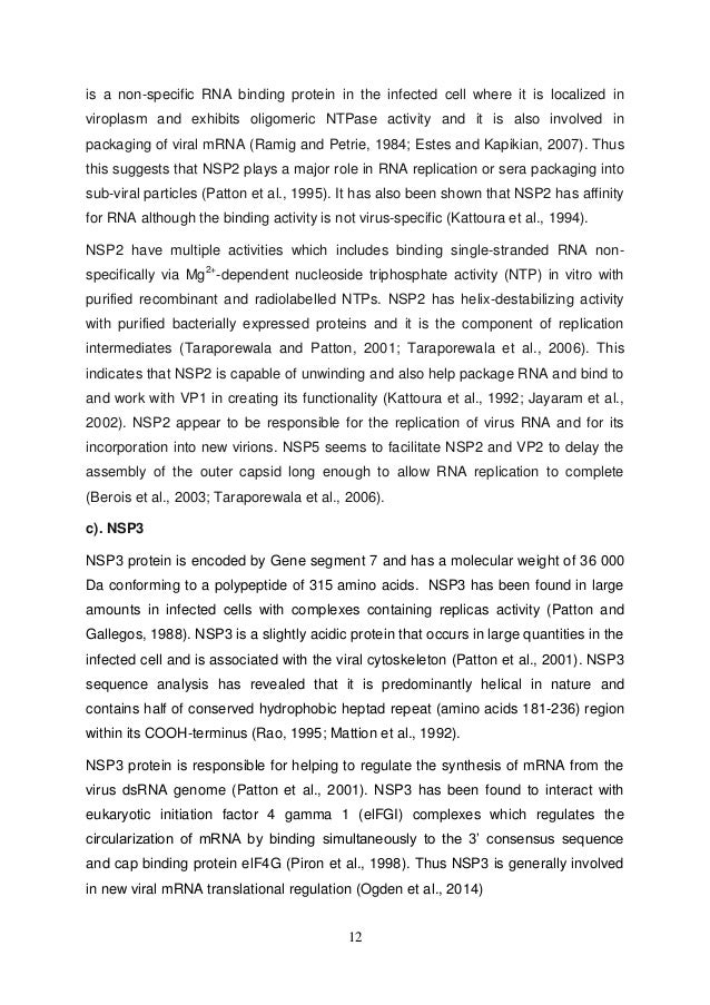 Student thesis example image