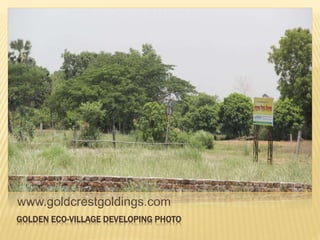 www.goldcrestgoldings.com
GOLDEN ECO-VILLAGE DEVELOPING PHOTO
 