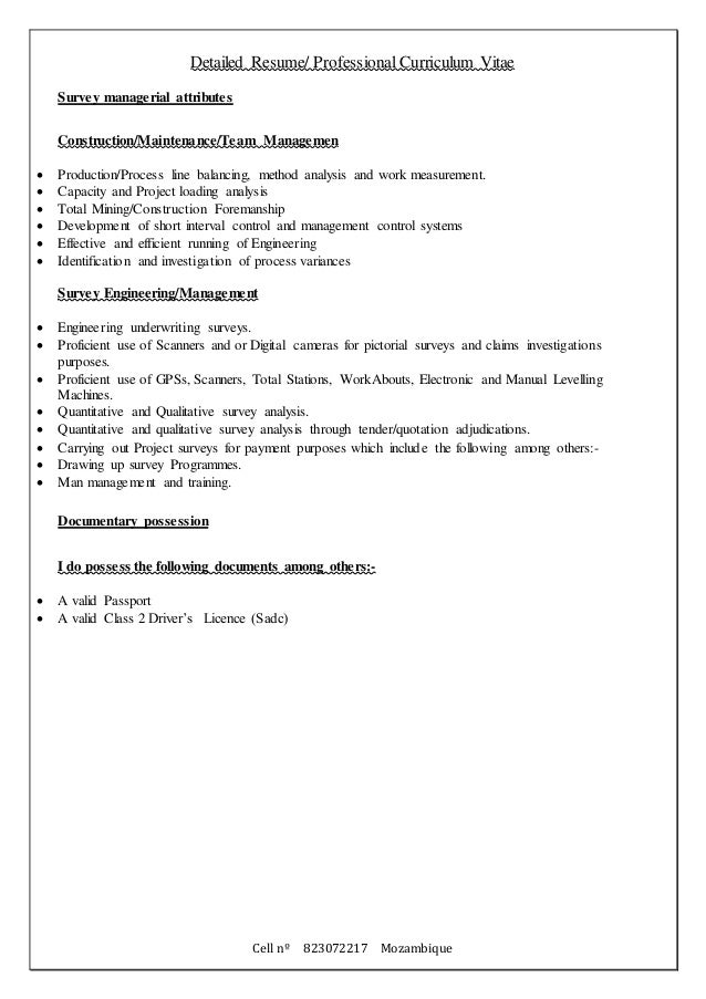 Survey Professional CV Marizane2