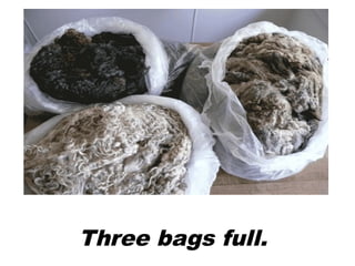 Three bags full.
 