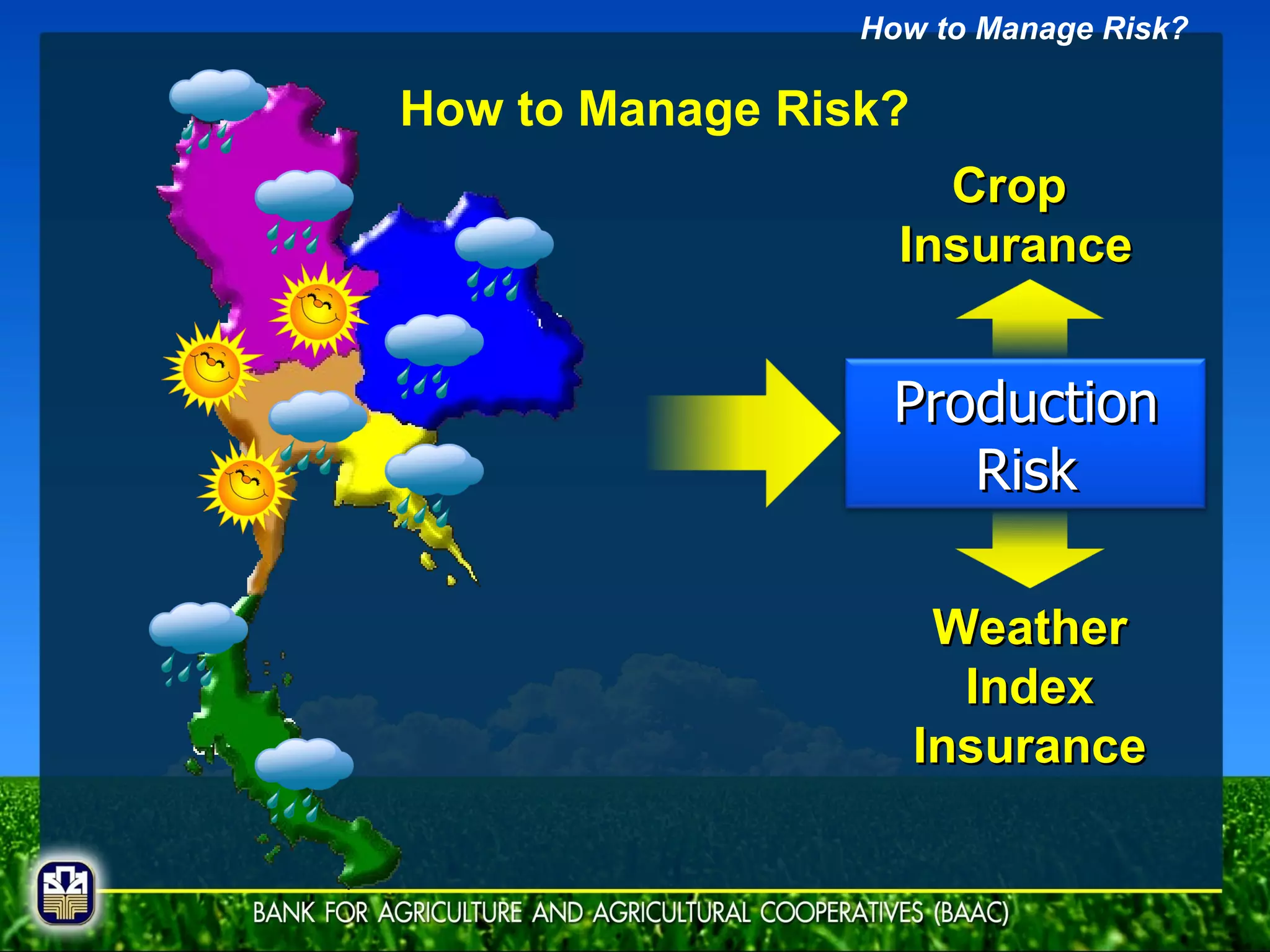 Crop  Insurance Weather Index  Insurance How to Manage Risk? How to Manage Risk? Production Risk 