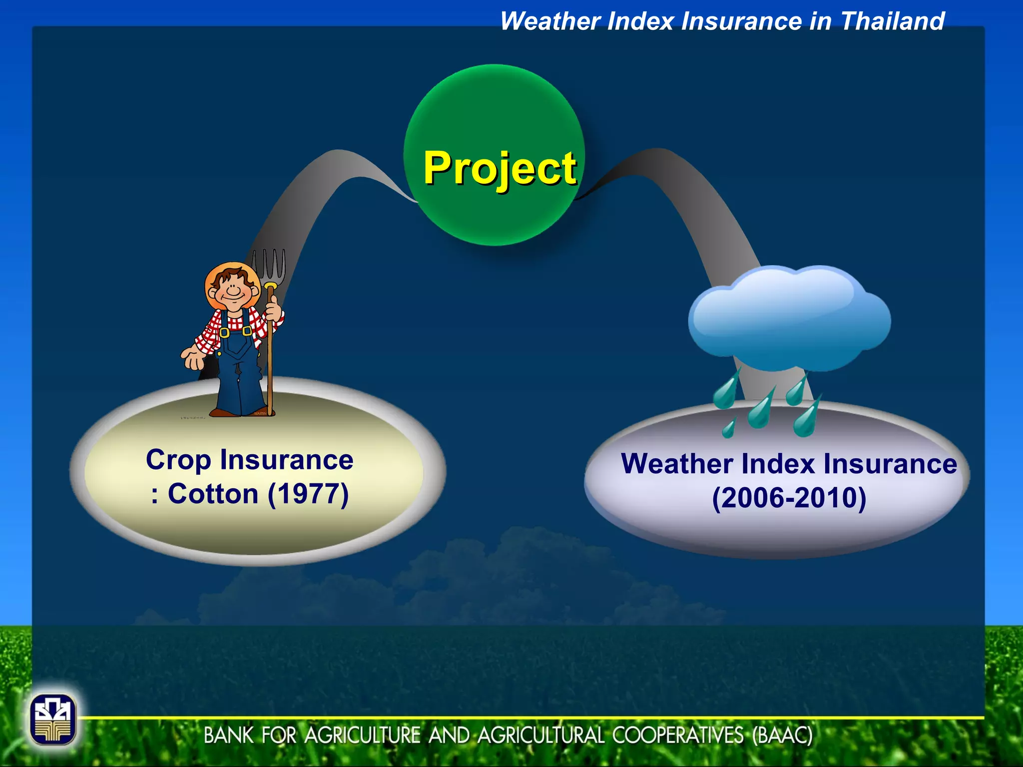 Project Crop Insurance : Cotton (1977) Weather Index Insurance (2006-2010) Weather Index Insurance in Thailand 
