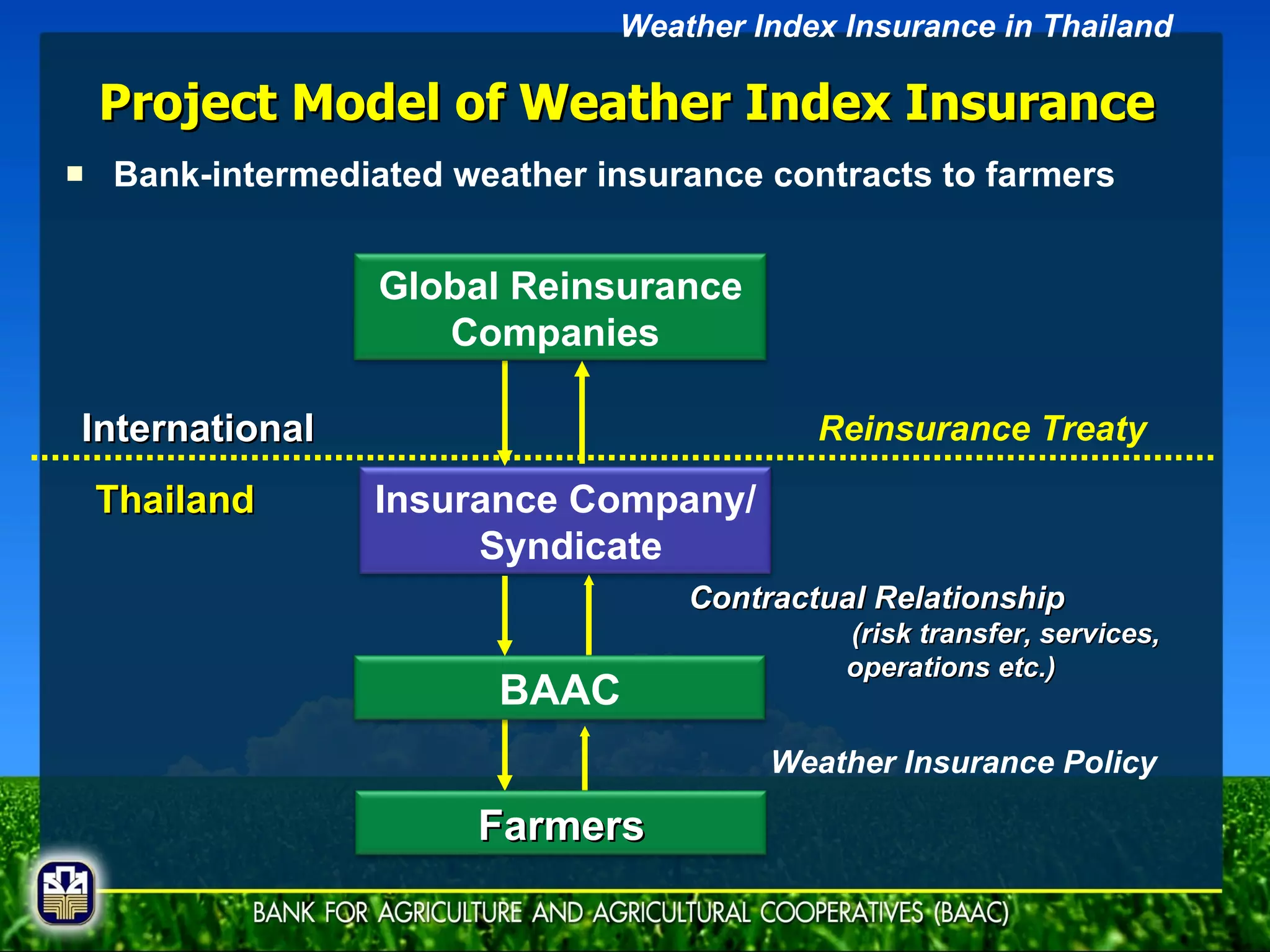 Project Model of Weather Index Insurance Bank-intermediated weather insurance contracts to farmers Reinsurance Treaty Thailand International Weather Insurance Policy Contractual Relationship   (risk transfer, services, operations etc.) Weather Index Insurance in Thailand Insurance Company/  Syndicate Global Reinsurance Companies  Farmers BAAC 