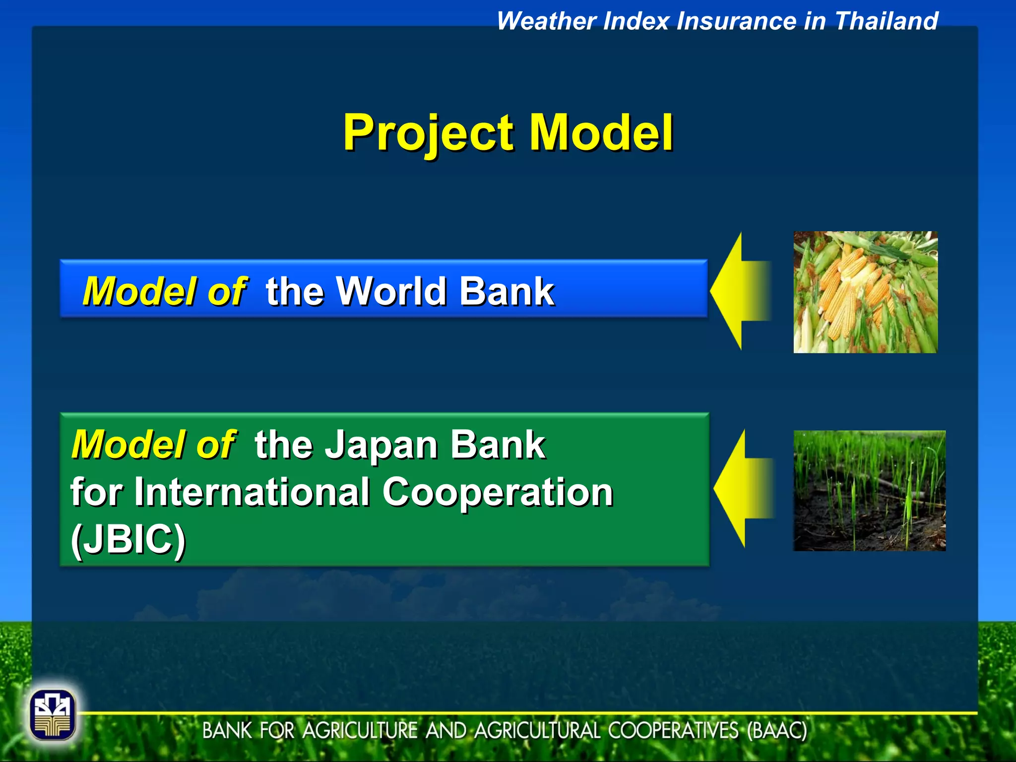 Project Model Weather Index Insurance in Thailand Model of   the World Bank Model of   the Japan Bank  for International Cooperation (JBIC) 