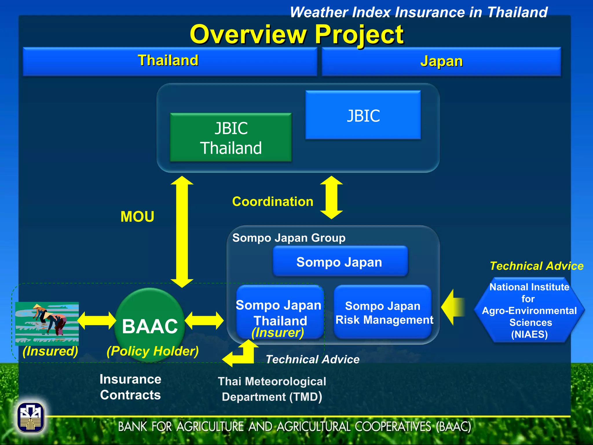 Overview Project Thailand Japan Sompo Japan Group Insurance Contracts Thai Meteorological Department (TMD ) Coordination MOU Technical Advice Technical Advice (Insurer) (Policy Holder) (Insured) Weather Index Insurance in Thailand National Institute for  Agro-Environmental Sciences (NIAES) BAAC Sompo Japan   Sompo Japan Risk Management JBIC JBIC Thailand Sompo Japan  Thailand 