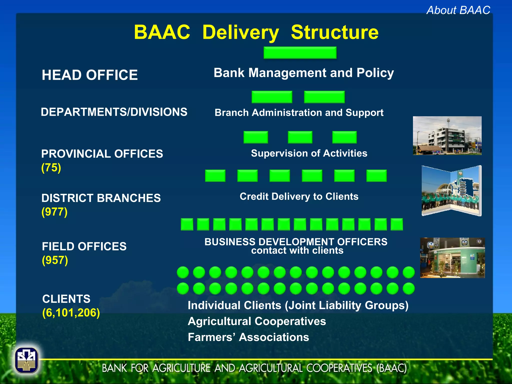BAAC  Delivery  Structure HEAD OFFICE DEPARTMENTS/DIVISIONS PROVINCIAL OFFICES  (75) DISTRICT BRANCHES  (977) FIELD OFFICES  (957) CLIENTS  (6,101,206) Bank Management and Policy Branch Administration and Support Supervision of Activities Credit Delivery to Clients Individual Clients (Joint Liability Groups) Agricultural Cooperatives Farmers’ Associations BUSINESS DEVELOPMENT OFFICERS   contact with clients About BAAC 