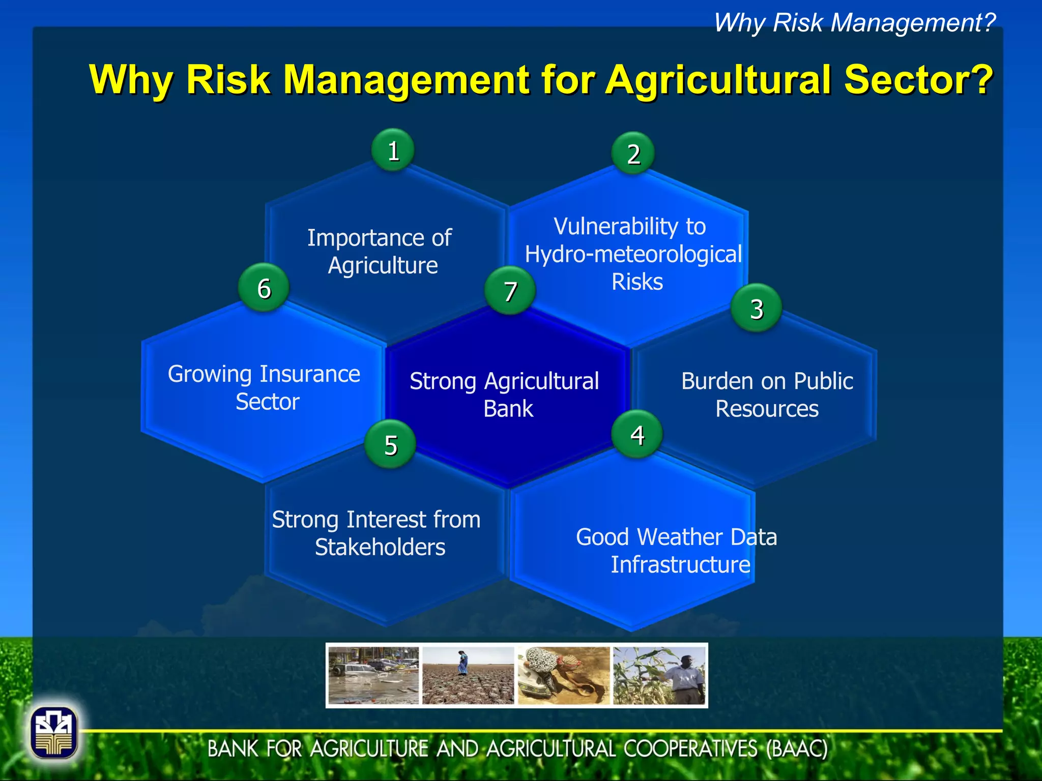 Why Risk Management for Agricultural Sector? Importance of  Agriculture Vulnerability to  Hydro-meteorological Risks Burden on Public Resources Growing Insurance  Sector Good Weather Data  Infrastructure Strong Interest from  Stakeholders Why Risk Management? Strong Agricultural  Bank 1 2 6 3 7 5 4 