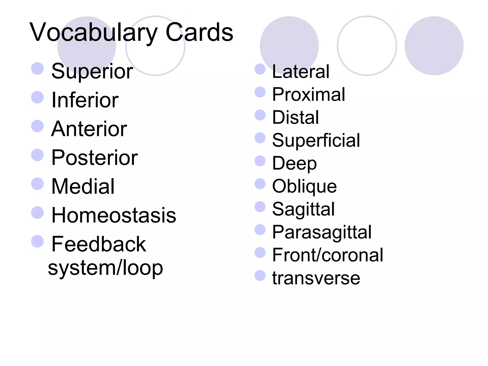 Vocabulary Cards
Superior
Inferior
Anterior
Posterior
Medial
Homeostasis
Feedback
system/loop
Lateral
Proximal
Distal
Superficial
Deep
Oblique
Sagittal
Parasagittal
Front/coronal
transverse
 