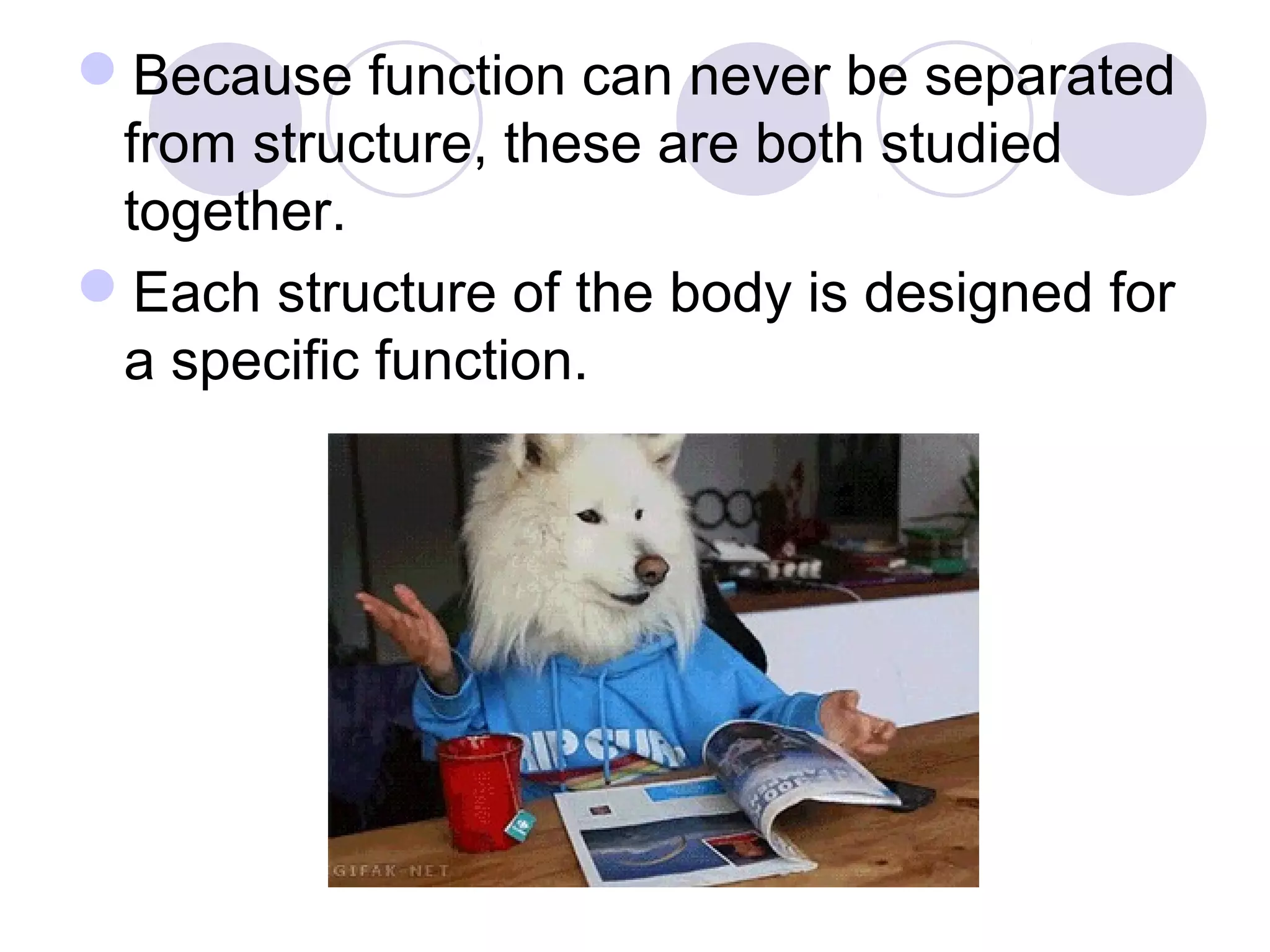 Because function can never be separated
from structure, these are both studied
together.
Each structure of the body is designed for
a specific function.
 