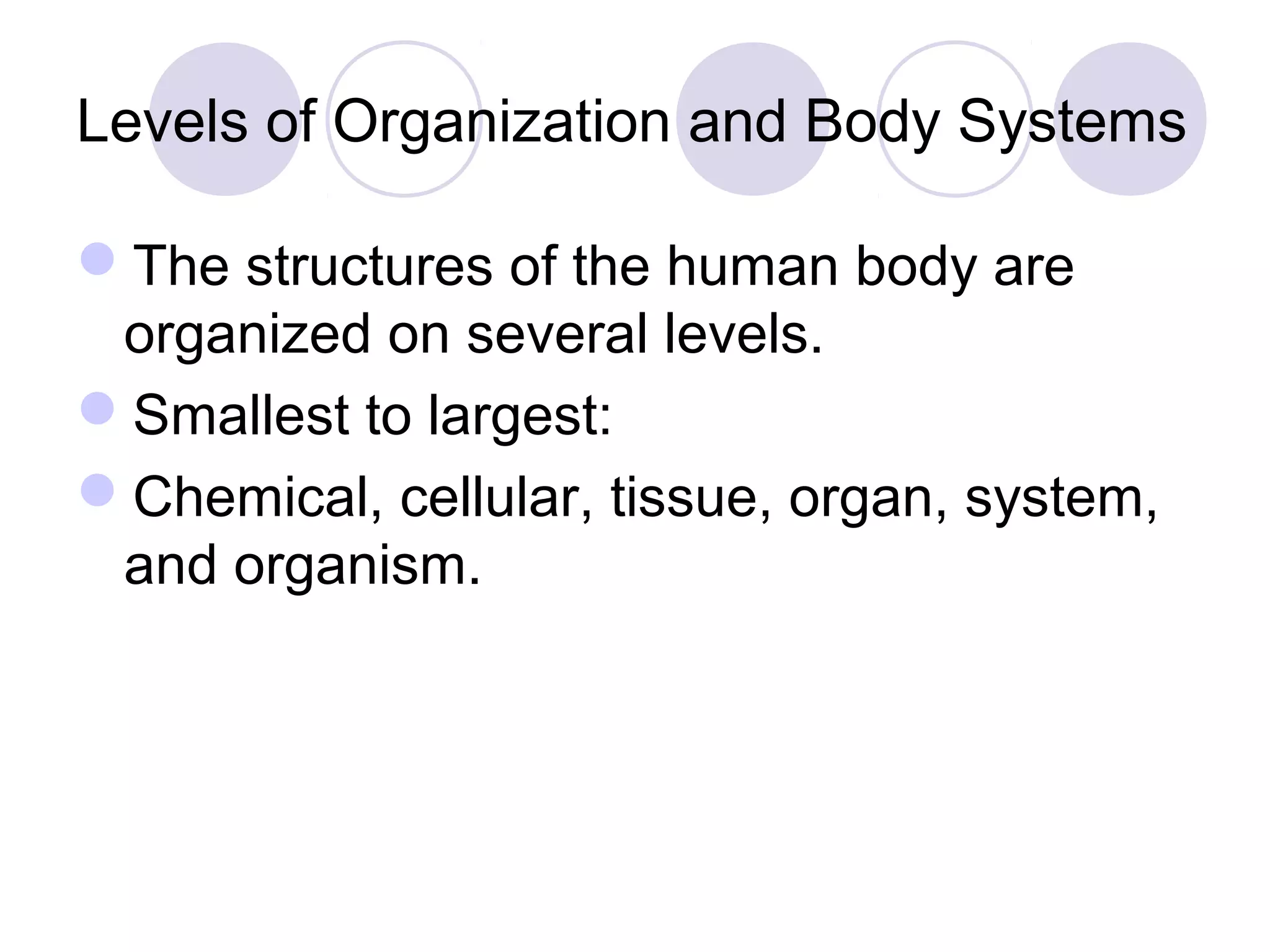 Levels of Organization and Body Systems
The structures of the human body are
organized on several levels.
Smallest to largest:
Chemical, cellular, tissue, organ, system,
and organism.
 
