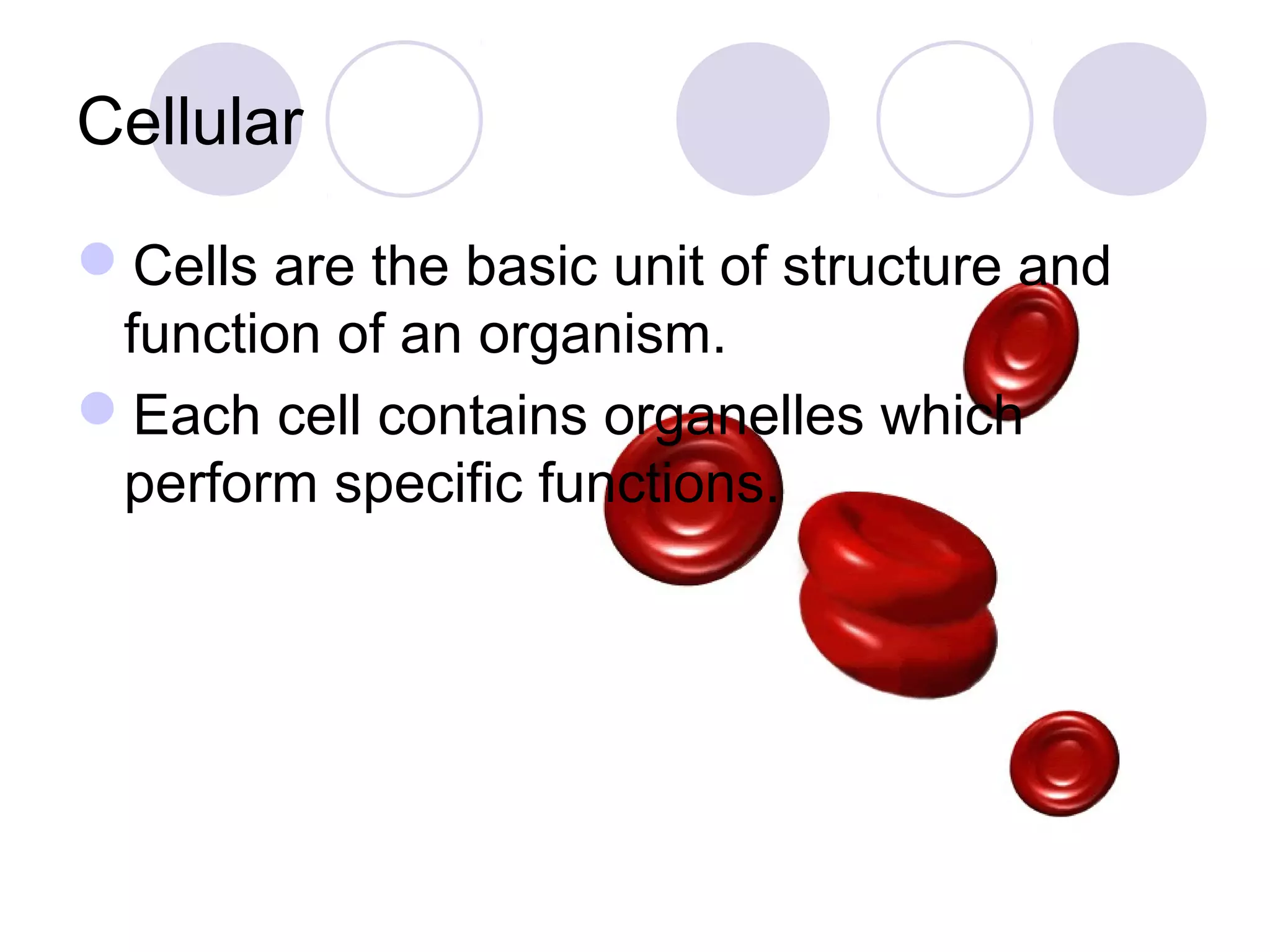 Cellular
Cells are the basic unit of structure and
function of an organism.
Each cell contains organelles which
perform specific functions.
 