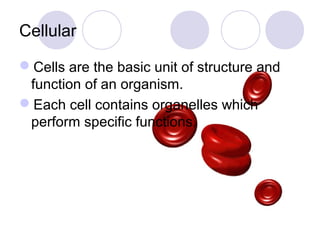 Chapter 1 notes Intro to Anatomy and Physiology | PPT