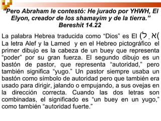 “ Pero Abraham le contestó: He jurado por YHWH, El Elyon, creador de los shamayim   y de la tierra.” Bereshit 14.22   La palabra Hebrea traducida como “Dios” es El  ( אֵל )  La letra Alef y la Lamed  y en el Hebreo pictográfico  el primer dibujo es la cabeza de un buey que representa “poder” por su gran fuerza. El segundo dibujo es un bastón de pastor, que representa “autoridad,” pero también significa “yugo.” Un pastor siempre usaba un bastón como símbolo de autoridad pero que también era usado para dirigir, jalando o empujando, a sus ovejas en la dirección correcta. Cuando las dos letras son combinadas, el significado es “un buey en un yugo,” como también “autoridad fuerte.” 