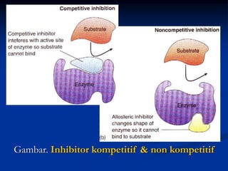 Gambar. Inhibitor kompetitif & non kompetitif
 