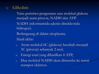 1) Glikolisis
- Yaitu peristiwa penguraian satu molekul glukosa
menjadi asam piruvat, NADH dan ATP.
- NADH (nikotinamida adenin dinukleotida
hidrogen).
- Berlangsung di dalam sitoplasma.
- Hasil akhir:
a. Atom molekul 6C (glukosa) berubah menjadi
3C (piruvat) sebanyak 2 mol,
b. Energi total yang dihasilkan 4 ATP,
c. Dua molekul NADH akan ditrasnfer ke rantai
transpor elektron.
 